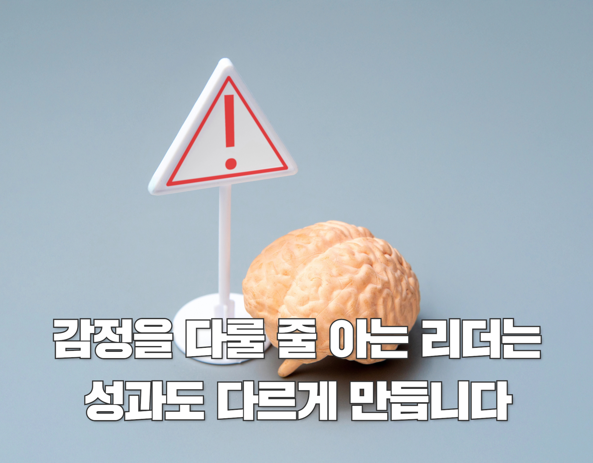 [인하우스 맞춤형 실행] 리더십 교육 : 리더의 정서지능