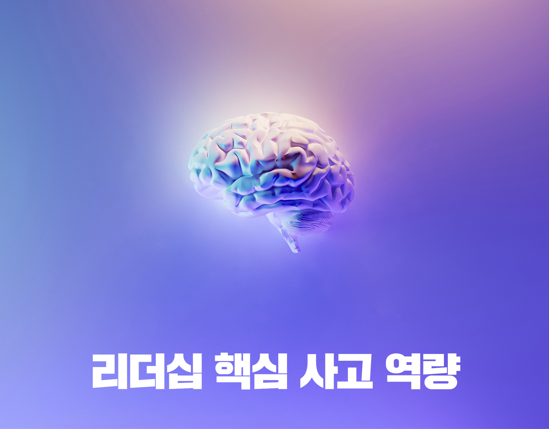 리더의 사고력 (6H)